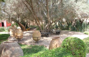 RIAD VERITABLE HAVRE DE PAIX REF PAT1200