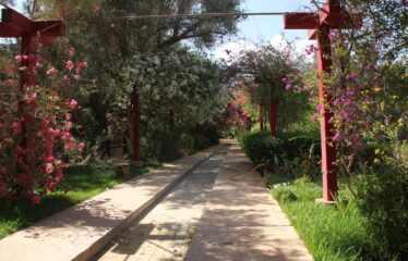 RIAD VERITABLE HAVRE DE PAIX REF PAT1200