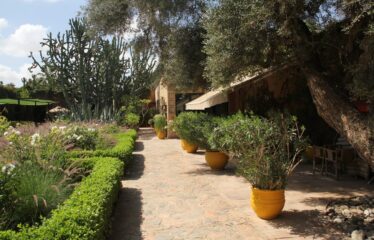 RIAD VERITABLE HAVRE DE PAIX REF PAT1200