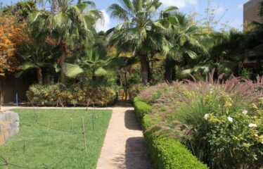 RIAD VERITABLE HAVRE DE PAIX REF PAT1200