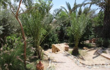 SUPERBE RIAD EN ZONE AGRICOLE REF ZAK 162